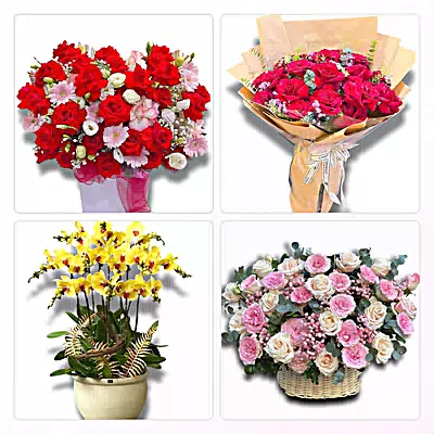 Đặt Hoa Tươi Tại Yên Định, Hải Hậu, Ninh Bình - Giao Tận Nơi