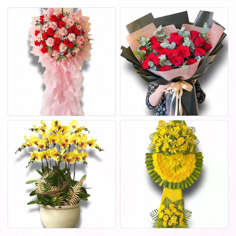 shop hoa Tân Châu An Giang giao hoa nhanh