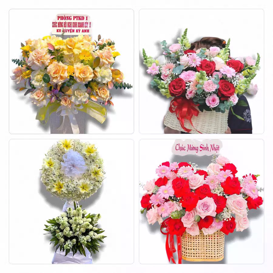 Bó hoa sen tặng mùa nước nổi Tân Hưng Long An