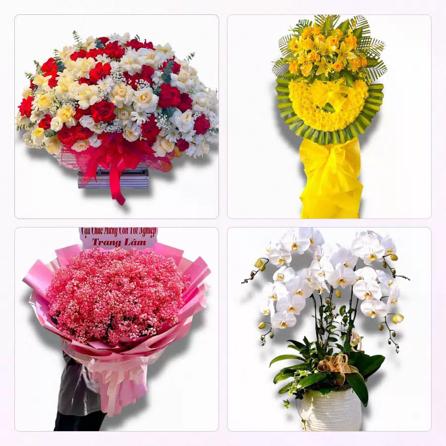 Đặt hoa tươi tại Tiểu Cần, Trà Vinh - shop DatHoaTuoi.Com giao tận nơi