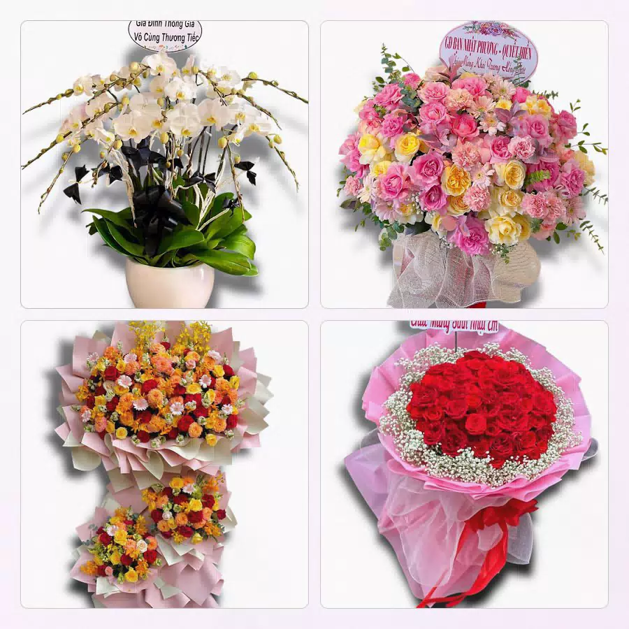 shop hoa Xã Châu Thành, Cần Thơ