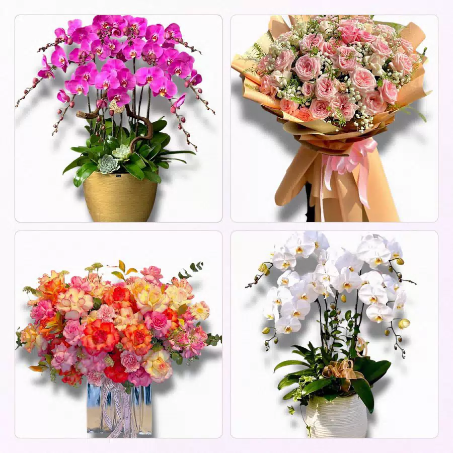 hoa chúc mừng giao tại Gia Thuận Đồng Tháp