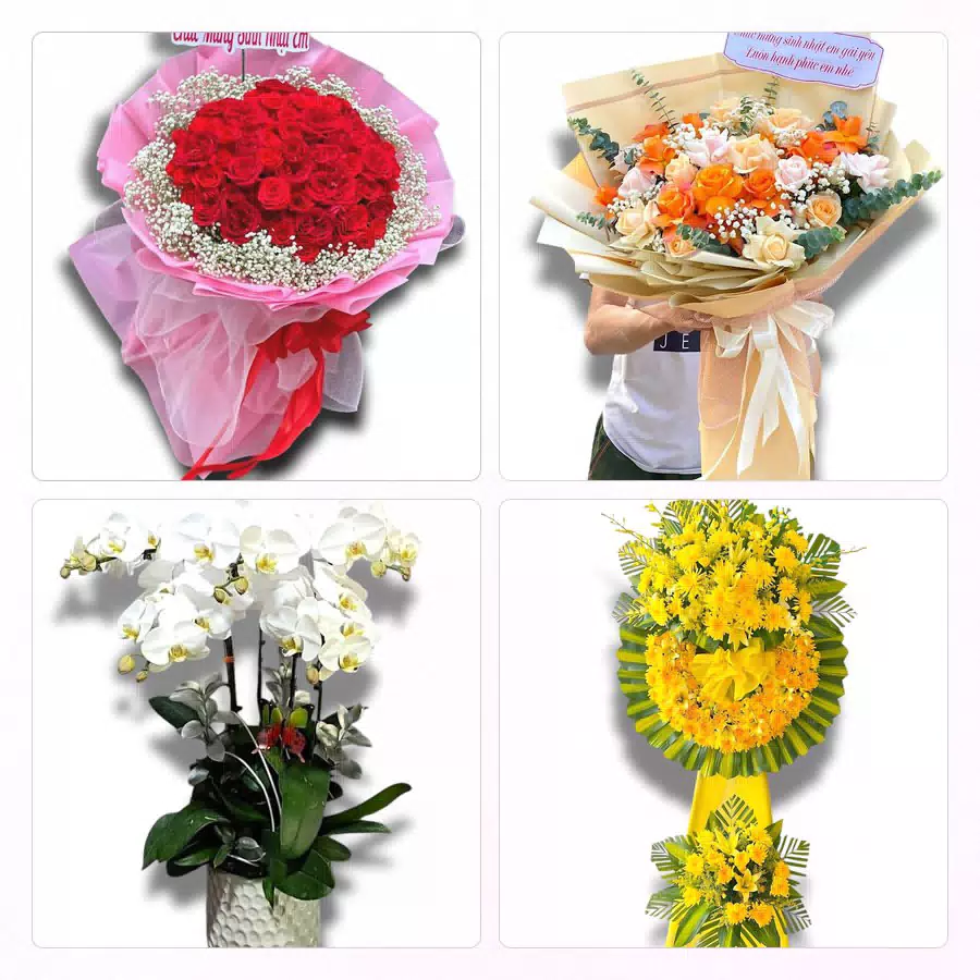 Hoa tươi giao tại vườn cây ăn trái Xã Long Kiến