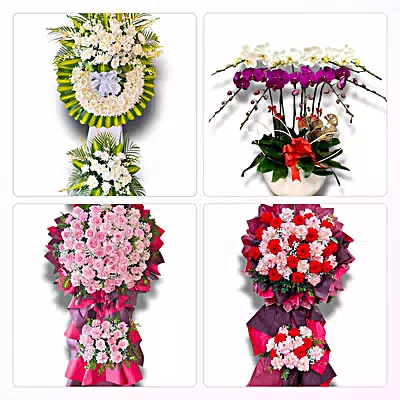 Đặt Hoa Tươi Xã Mê Linh - Hoa Tươi Mỗi Ngày