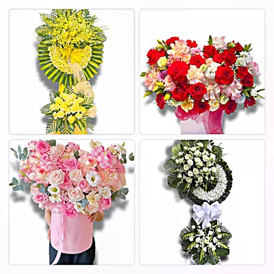 Đặt Hoa Tươi Xã Tân Nhựt, TP.HCM - Giao Hoa Tận Nhà