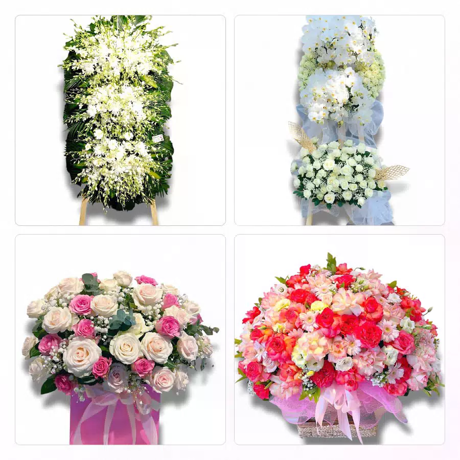 shop hoa tươi Xã Thanh Bình Đồng Tháp