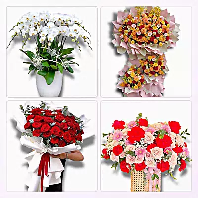 Đặt Hoa Tươi Xã Tháp Mười, Đồng Tháp - Giao Hoa Tận Nhà