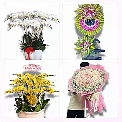 Đặt Hoa Tươi Xã Trà Côn, Vĩnh Long - Hoa Tươi Mỗi Ngày