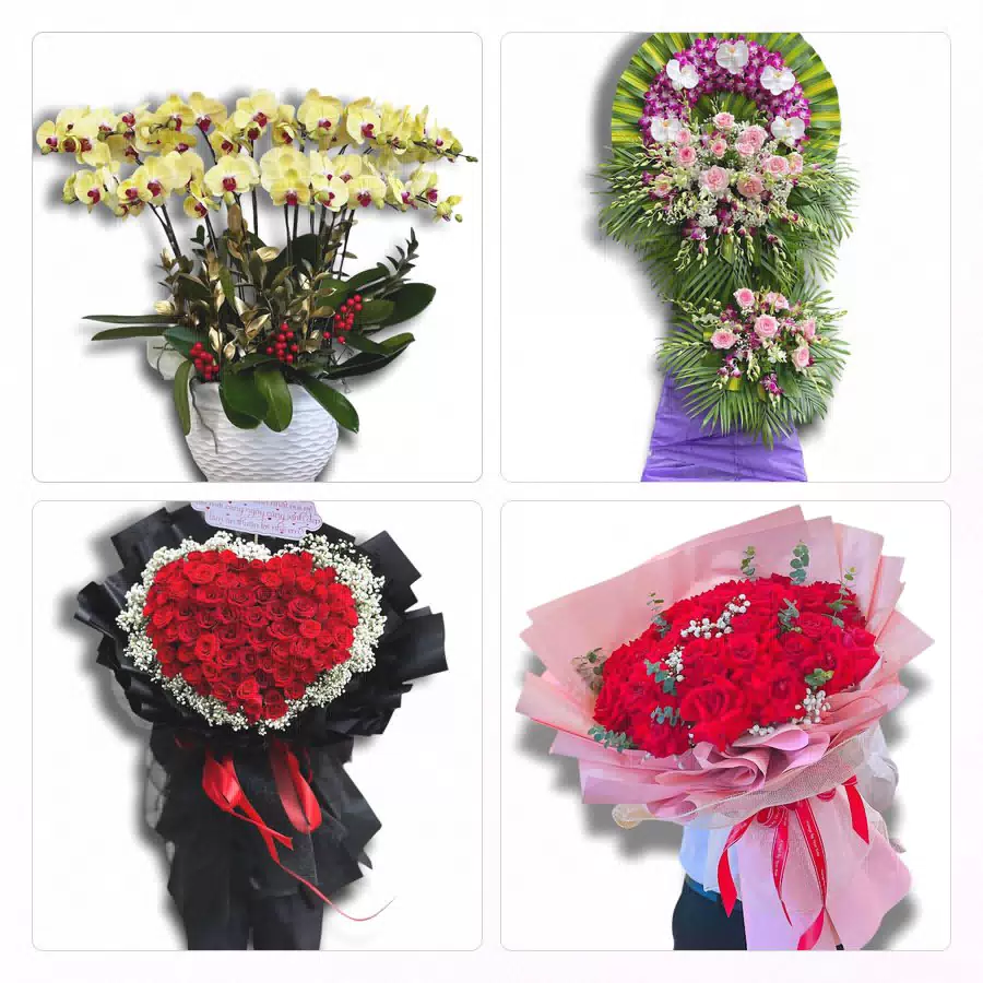 Đặt hoa tươi tại Xã Trảng Bom, Đồng Nai