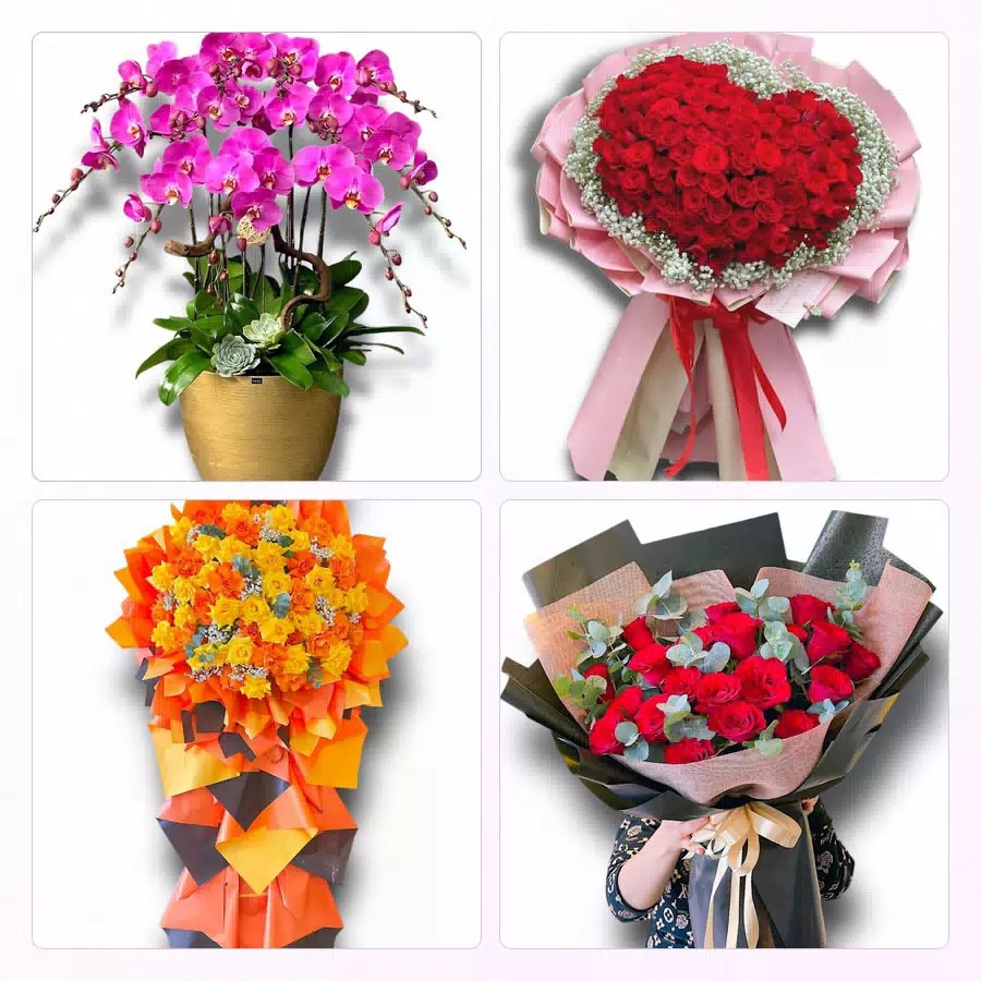 Bó hoa tươi giao tại Xã Vạn Tường, Quảng Ngãi