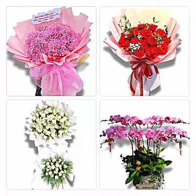 Điện Hoa Phường An Phong, Hải Phòng - Đặt Hoa Nhanh, Gọi Là Có