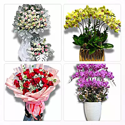 Điện Hoa Phường Đại Mỗ - Hoa Tươi Mỗi Ngày