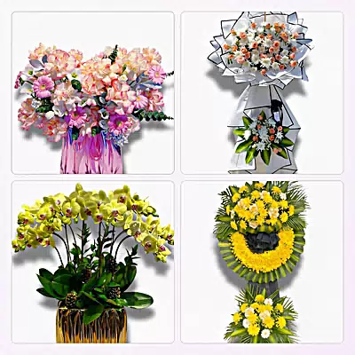 Điện Hoa Phường Phú Khương, Vĩnh Long - Sinh Nhật – Khai Trương – Chia Buồn