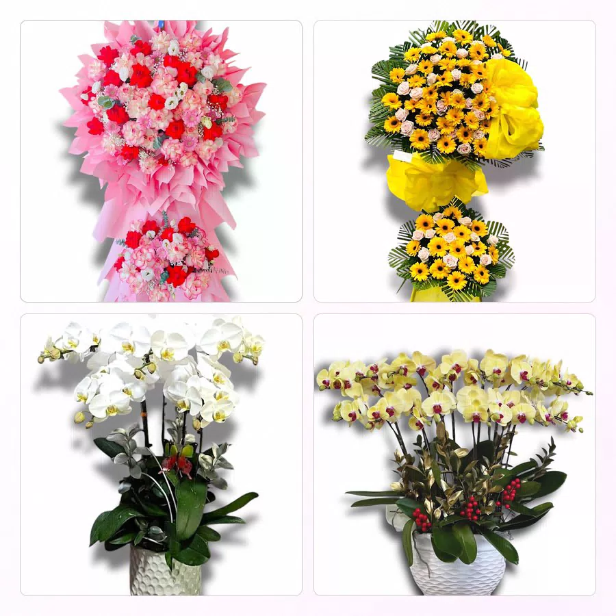 Điện Hoa Phường Phú Thượng - Giao Hoa Tận Nhà