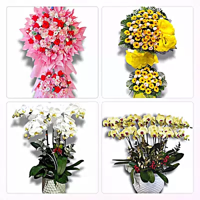 Điện Hoa Phường Phú Thượng - Giao Hoa Tận Nhà