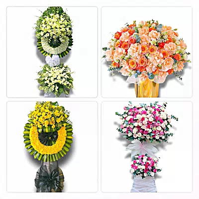 Điện Hoa Phường Phước Thới, Cần Thơ - Đặt Hoa Nhanh, Gọi Là Có