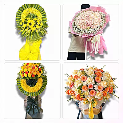 Điện Hoa Phường Tân Hưng, Hải Phòng - Giao Tận Nơi