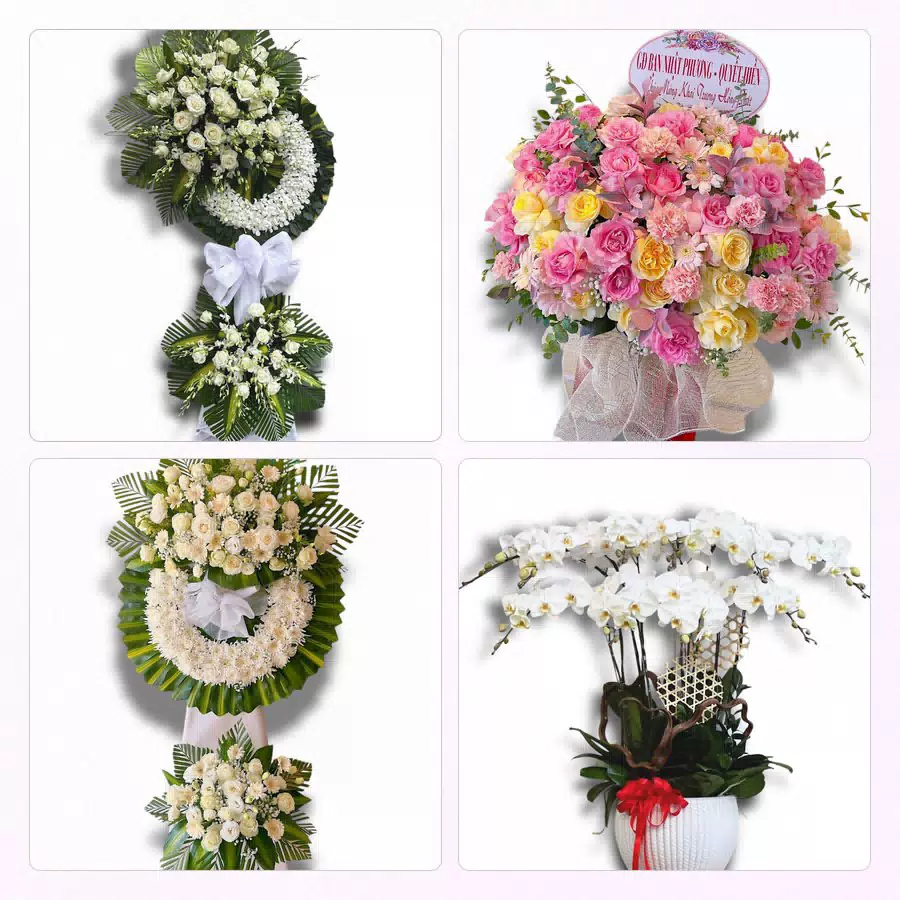 Hoa tươi giao tận nhà tại Phường Tân Sơn Nhì, TP.HCM