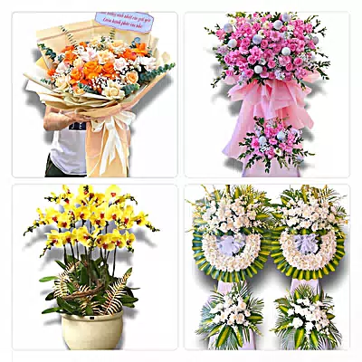 Điện Hoa Phường Vĩnh Phúc - Nhận Đặt Mọi Dịp
