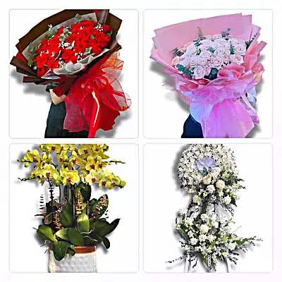 Điện Hoa Xã Cần Giuộc - Nhận Đặt Mọi Dịp
