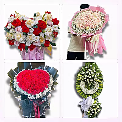 Điện Hoa Xã Tân Thành Bình, Vĩnh Long - Giao Tận Nơi