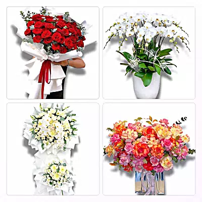 Điện Hoa Xã Triệu Việt Vương, Hưng Yên - Giao Tận Nơi
