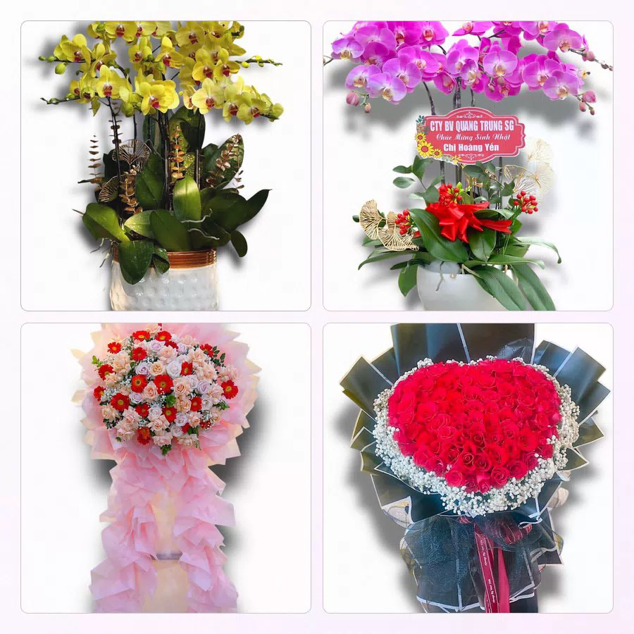 Shop Hoa Tươi Phường Ba Đồn, Quảng Trị