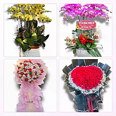 Shop Hoa Tươi Phường Ba Đồn, Quảng Trị