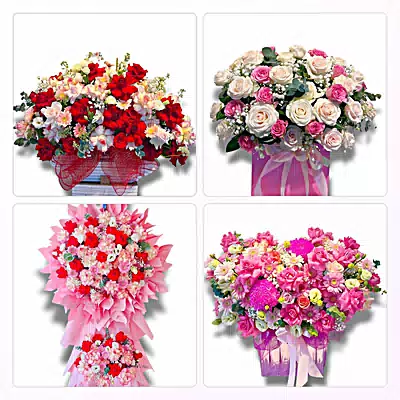 Shop Hoa Tươi Phường Bình Xuân, Đồng Tháp - Đặt Hoa Nhanh, Gọi Là Có