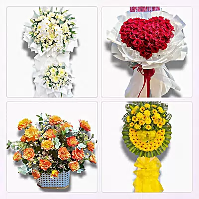 Shop Hoa Tươi Phường Chánh Hiệp, TP.HCM