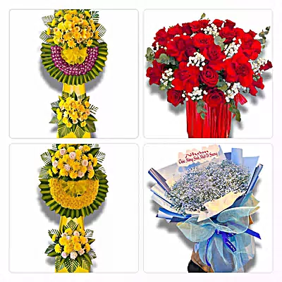 Shop Hoa Tươi Phường Đại Thành, Cần Thơ - Hoa Tươi Mỗi Ngày
