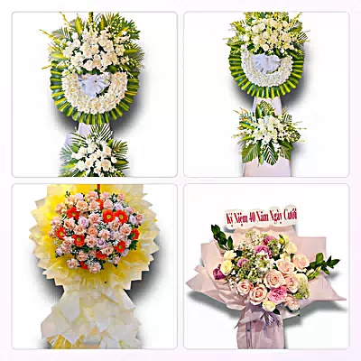 Shop Hoa Tươi Phường Đông Hưng Thuận, TP.HCM - Đặt Hoa Nhanh, Gọi Là Có