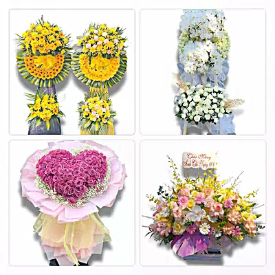 Shop Hoa Tươi Phường Đồng Thuận, Quảng Trị