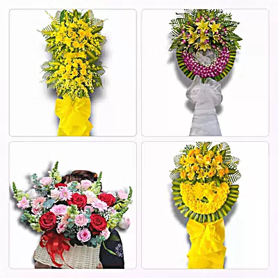 Shop Hoa Tươi Phường Dương Nỗ - Giao Tận Nơi