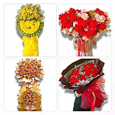 Shop Hoa Tươi Phường Hàm Rồng, Thanh Hóa - Giao Hoa Tận Nhà