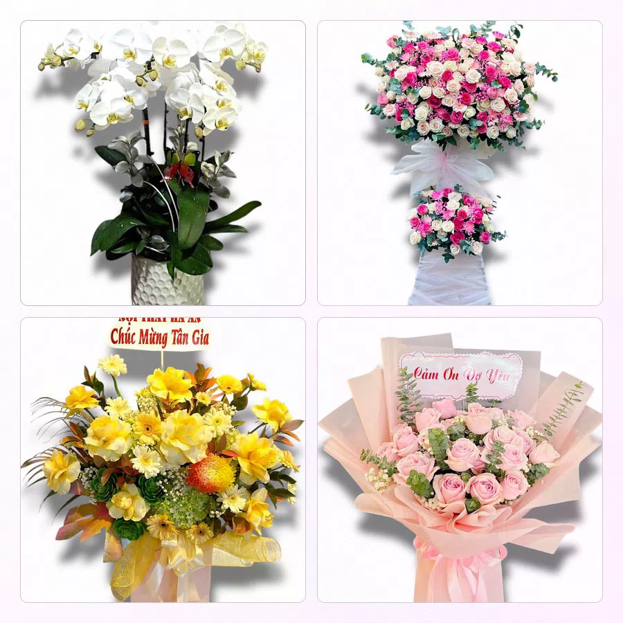 Shop Hoa Tươi Phường Hồng An, Hải Phòng - Sinh Nhật – Khai Trương – Chia Buồn