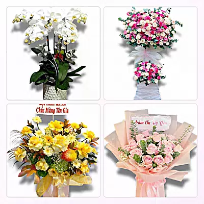 Shop Hoa Tươi Phường Hồng An, Hải Phòng - Sinh Nhật – Khai Trương – Chia Buồn