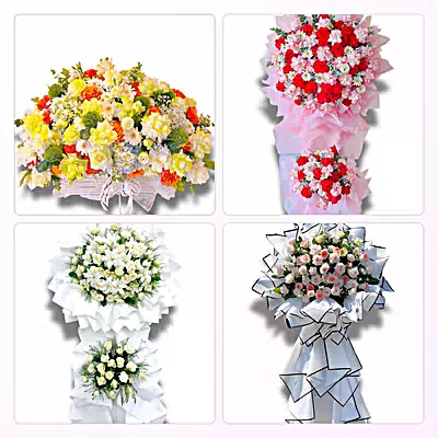 Shop Hoa Tươi Phường Hưng Phú, Cần Thơ - Nhận Đặt Mọi Dịp