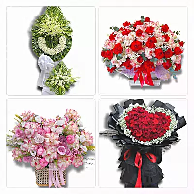 Shop Hoa Tươi Phường Khánh Hội, TP.HCM - Đặt Hoa Nhanh, Gọi Là Có