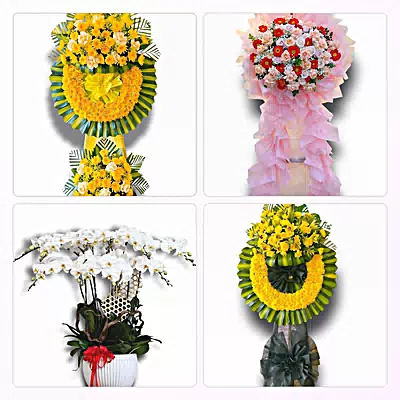 Shop Hoa Tươi Phường Liêm Tuyền, Ninh Bình - Nhận Đặt Mọi Dịp