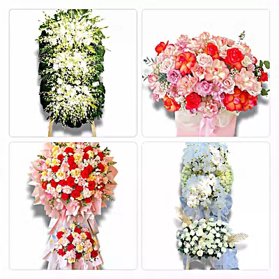 Shop Hoa Tươi Phường Long Trường, TP.HCM - Giao Tận Tay Người Nhận