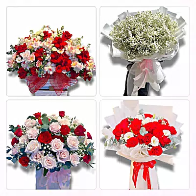 Shop Hoa Tươi Phường Nếnh, Bắc Ninh - Sinh Nhật – Khai Trương – Chia Buồn