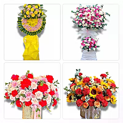 Shop Hoa Tươi Phường Ngã Năm, Cần Thơ - Giao Tận Tay Người Nhận