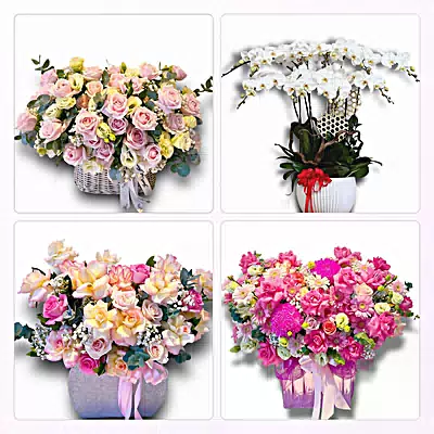 Shop Hoa Tươi Phường Phú Lâm, TP.HCM - Sinh Nhật – Khai Trương – Chia Buồn