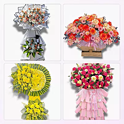 Shop Hoa Tươi Phường Phú Yên, Đắk Lắk - Hoa Tươi Mỗi Ngày