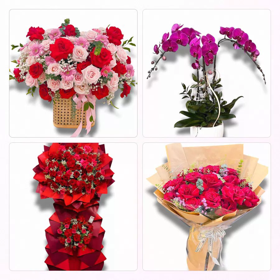 Shop Hoa Tươi Phường Phước Hậu, Vĩnh Long - Sinh Nhật – Khai Trương – Chia Buồn
