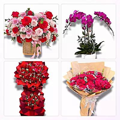 Shop Hoa Tươi Phường Phước Hậu, Vĩnh Long - Sinh Nhật – Khai Trương – Chia Buồn