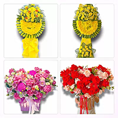 Shop Hoa Tươi Phường Quy Nhơn Nam, Gia Lai