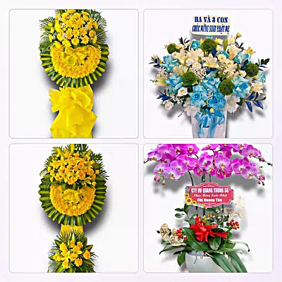 Shop Hoa Tươi Phường Sơn Trà, Đà Nẵng - Giao Hoa Tận Nhà