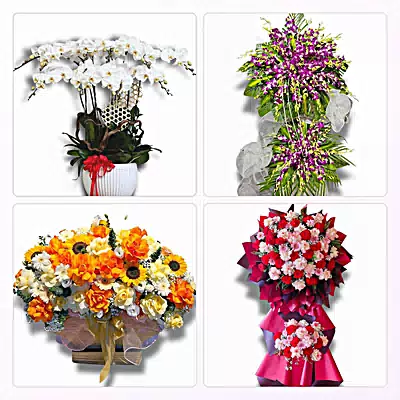 Shop Hoa Tươi Phường Thanh Xuân, Hà Nội - Giao Tận Nơi
